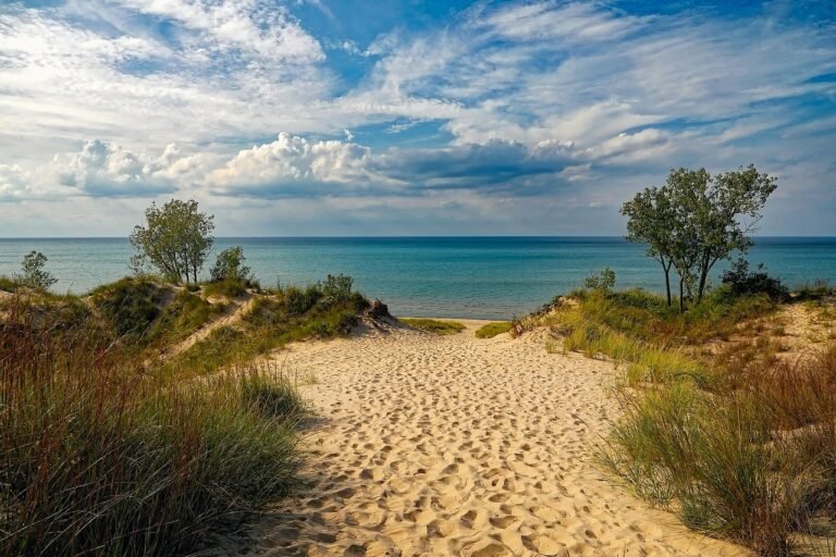 indiana dunes state park, beach, lake michigan, sky, clouds, trees, shoreline, nature, outdoors, vacation, holiday, summer, footprints, beautiful, hdr, beach, beach, beach, beach, beach, summer